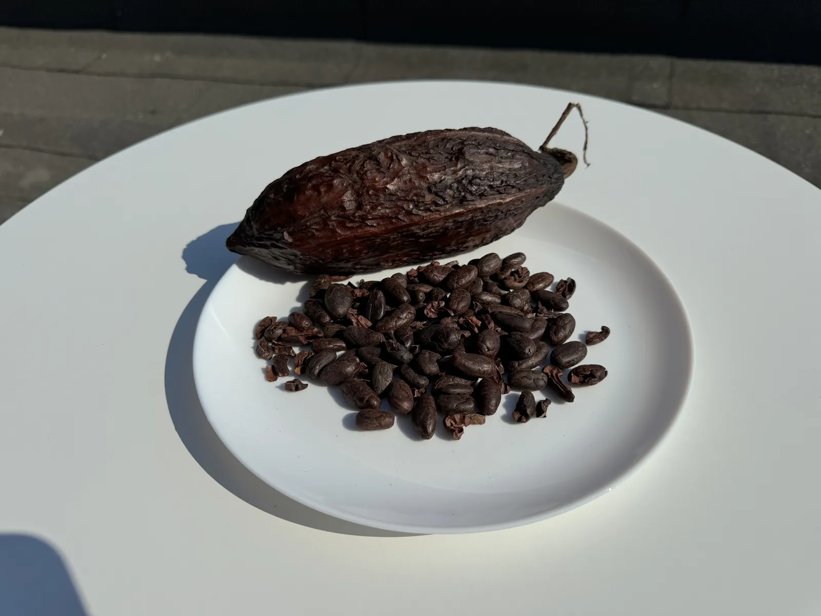 Cocoa fruit and cocoa beans on a plate